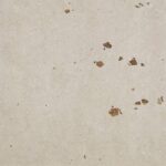 Tortora colour swatch